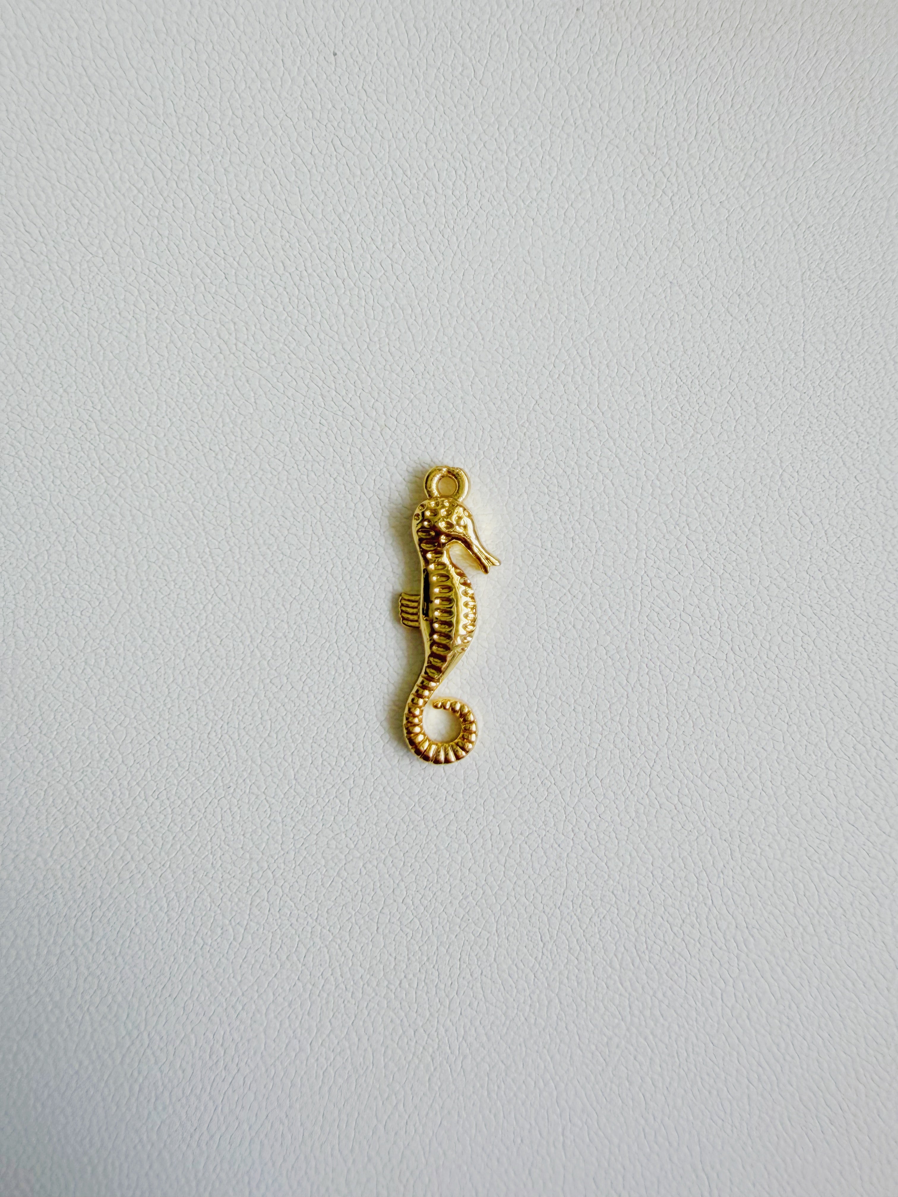 Charm Caballo de Mar 2